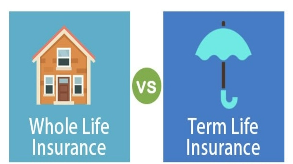 定期寿险 vs 终身寿险：该选择哪种？Term Life vs Whole Life Insurance: Which one should you choose?